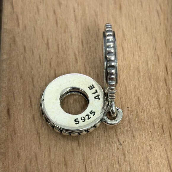 Pandora Passholder Charm Travel Pendant, S925 Silver Bracelets - Picture 4 of 4